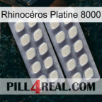 Rhinocéros Platine 8000 07